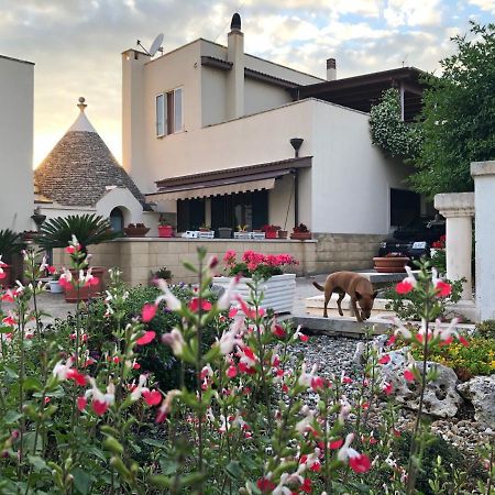 Bed and Breakfast Casa Delle Rondini Альберобелло Екстер'єр фото